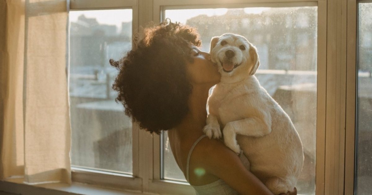 Are dogs good for mental health?